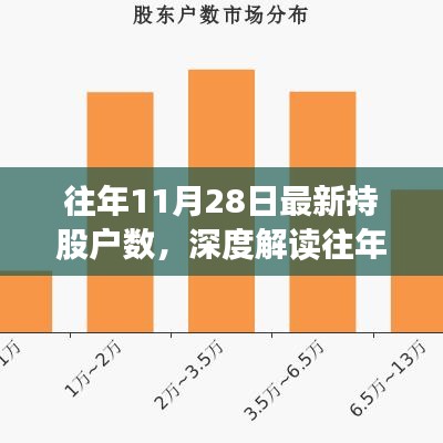 往年11月28日持股户数深度解析，策略与考量揭秘