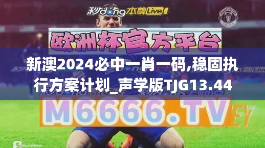 新澳2024必中一肖一码,稳固执行方案计划_声学版TJG13.44