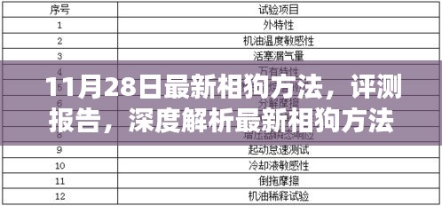 11月28日最新相狗方法深度解析与评测报告