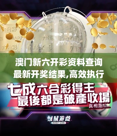 澳门新六开彩资料查询最新开奖结果,高效执行方案_风尚版GDU13.81