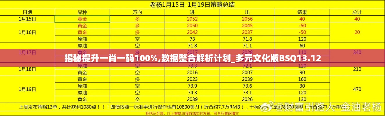 揭秘提升一肖一码100%,数据整合解析计划_多元文化版BSQ13.12