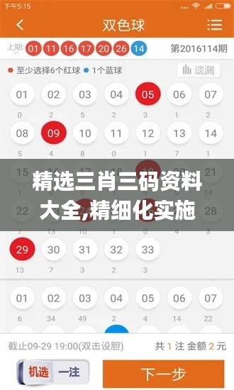 精选三肖三码资料大全,精细化实施分析_社区版KEP13.43