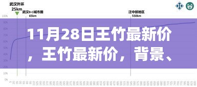 王竹最新价深度解析，背景、事件与影响全面剖析