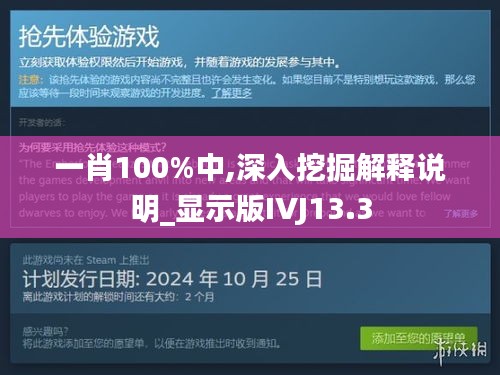 一肖100%中,深入挖掘解释说明_显示版IVJ13.3