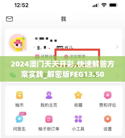 2024澳门天天开彩,快速解答方案实践_解密版FEG13.50