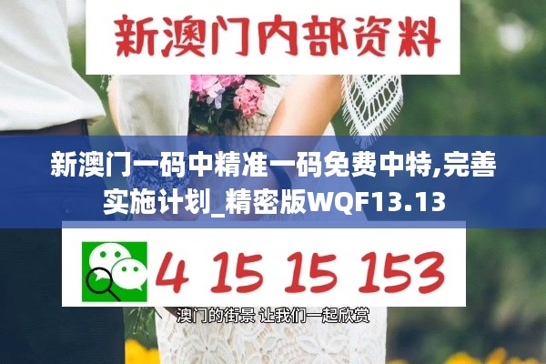 新澳门一码中精准一码免费中特,完善实施计划_精密版WQF13.13