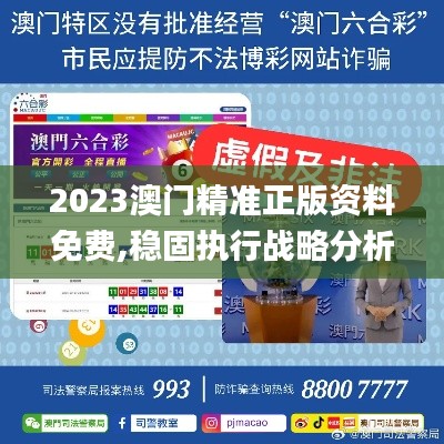 2023澳门精准正版资料免费,稳固执行战略分析_妹妹版GEU13.46