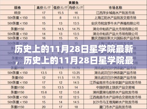 历史上的11月28日星学院最新动态深度解读，影响与观点争议分析