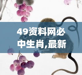 49资料网必中生肖,最新研究解读_社交版USE13.13