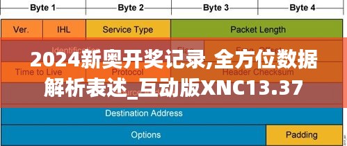 2024新奥开奖记录,全方位数据解析表述_互动版XNC13.37