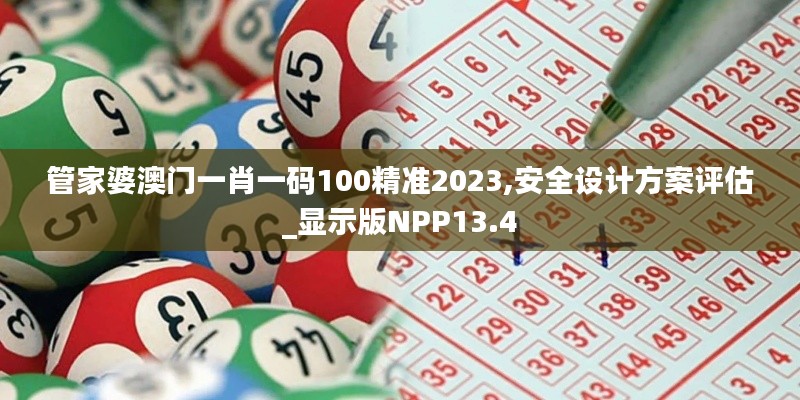 管家婆澳门一肖一码100精准2023,安全设计方案评估_显示版NPP13.4