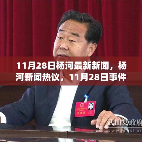 11月28日杨河新闻热议，事件剖析与个人立场