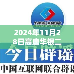 揭秘高唐华银二期最新动态，深度解读与参与指南（2024年11月28日更新）