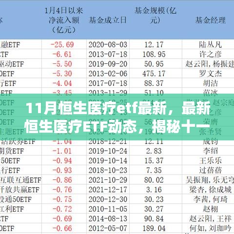 揭秘十一月投资新机遇，最新恒生医疗ETF动态分析