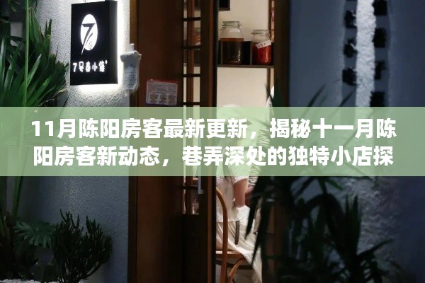 揭秘陈阳房客十一月新动态，巷弄深处的独特小店探索之旅