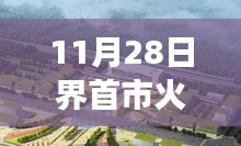 界首市火车站11月28日惊喜，温馨故事与最新消息揭秘