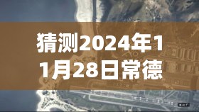 常德弃婴岛，揭秘温馨日常与未来热门消息预测，2024年11月28日的奇妙时光