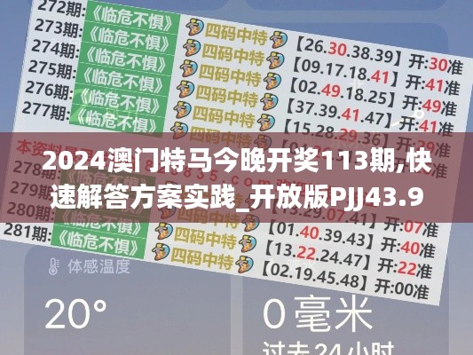 2024澳门特马今晚开奖113期,快速解答方案实践_开放版PJJ43.930