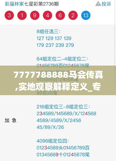 7777788888马会传真,实地观察解释定义_专业版QGV51.765