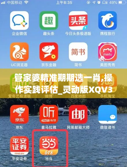 管家婆精准期期选一肖,操作实践评估_灵动版XQV37.789