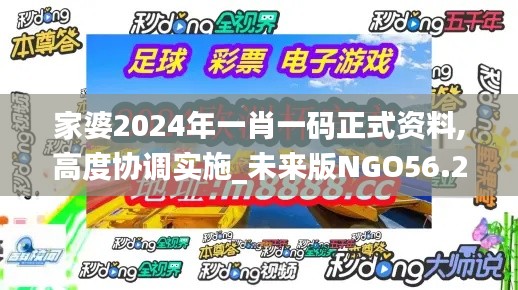 家婆2024年一肖一码正式资料,高度协调实施_未来版NGO56.270