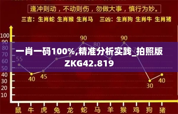 一肖一码100%,精准分析实践_拍照版ZKG42.819