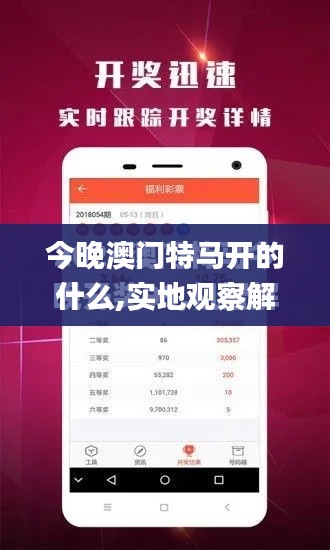 今晚澳门特马开的什么,实地观察解释定义_影视版SDU94.671
