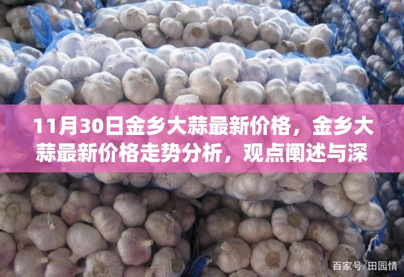 金乡大蒜最新价格走势深度解读与观点阐述