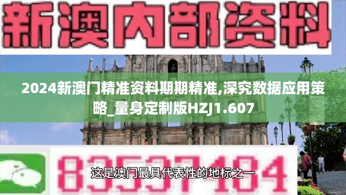 2024新澳门精准资料期期精准,深究数据应用策略_量身定制版HZJ1.607