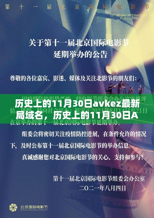 历史上的11月30日AVKEZ最新局域名解析与探索，指南给初学者与进阶用户