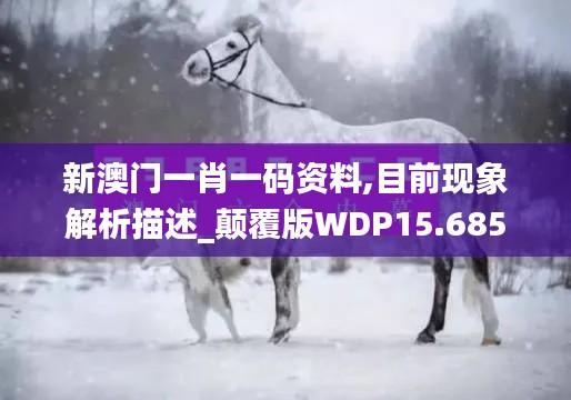 新澳门一肖一码资料,目前现象解析描述_颠覆版WDP15.685