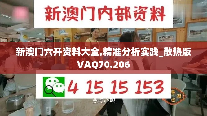 新澳门六开资料大全,精准分析实践_散热版VAQ70.206