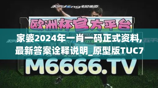 家婆2024年一肖一码正式资料,最新答案诠释说明_原型版TUC75.988