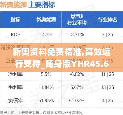 新奥资料免费精准,高效运行支持_随身版YHR45.668