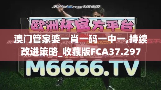 澳门管家婆一肖一码一中一,持续改进策略_收藏版FCA37.297