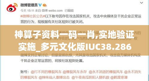 神算子资料一码一肖,实地验证实施_多元文化版IUC38.286