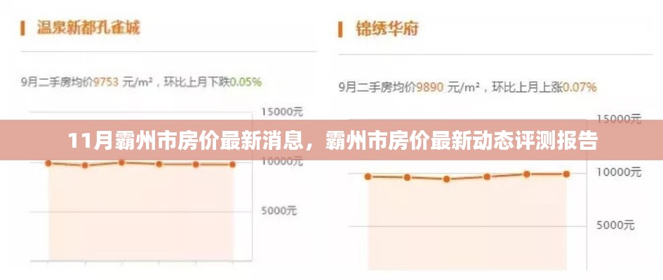 霸州市房价最新动态报告，深度解析房价走势与评测报告