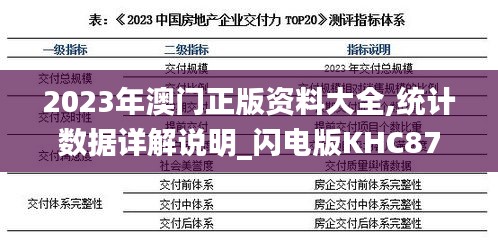 2023年澳门正版资料大全,统计数据详解说明_闪电版KHC87.534