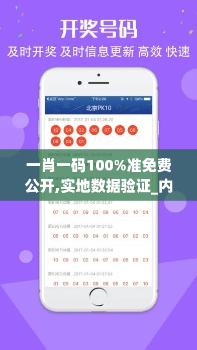 一肖一码100%准免费公开,实地数据验证_内置版EJQ50.571