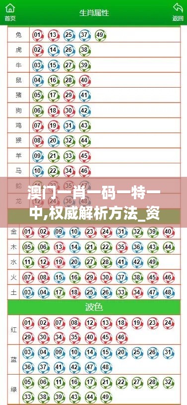 澳门一肖一码一特一中,权威解析方法_资源版QPC71.577