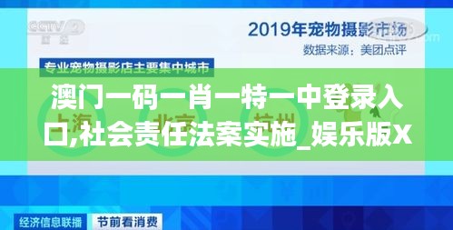 澳门一码一肖一特一中登录入口,社会责任法案实施_娱乐版XDK78.595