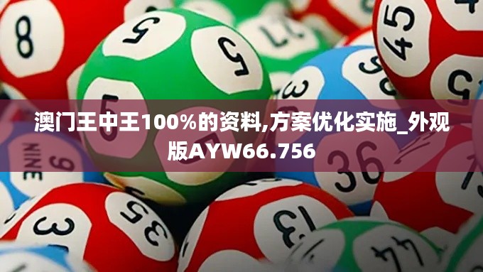 澳门王中王100%的资料,方案优化实施_外观版AYW66.756