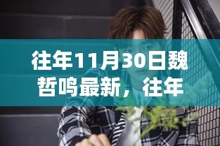 往年11月30日魏哲鸣最新产品评测报告发布