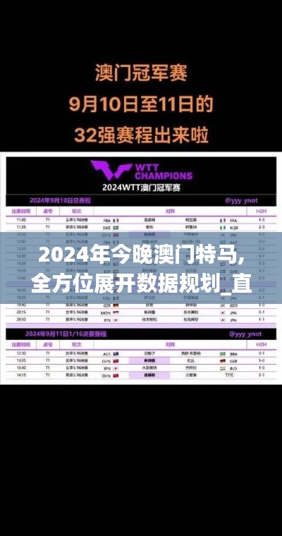 2024年今晚澳门特马,全方位展开数据规划_直观版EEP97.945