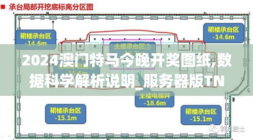 2024澳门特马今晚开奖图纸,数据科学解析说明_服务器版TNG30.230