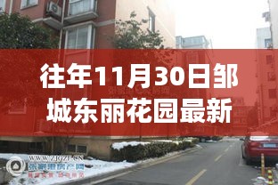 透视邹城东丽花园售房市场，热议与市场态势分析标题建议，邹城东丽花园售房市场深度解析，热议与市场动态观察。