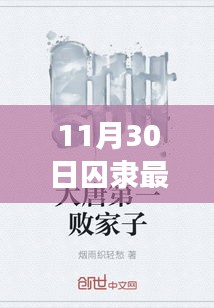 11月30日囚隶，历史背景、重大事件与深远影响的深度解析