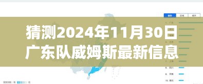 揭秘威姆斯未来之旅，广东队威姆斯心灵呼唤与探秘自然秘境的预测（独家报道）