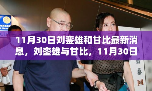 11月30日刘銮雄和甘比最新消息回顾，关系进展与事件回顾