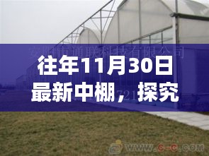 探究往年11月30日的中棚设计趋势与个人观点分享